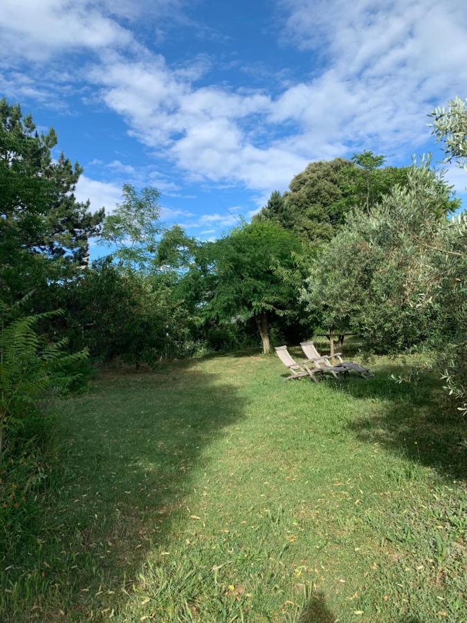 Studio Sud Luberon Grambois Exteriér fotografie